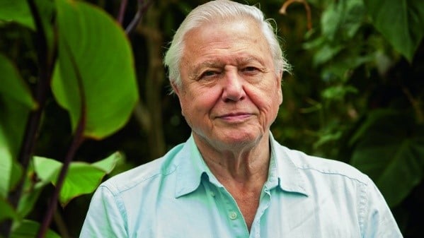 David Attenborough documentary WILD TASMANIA’
